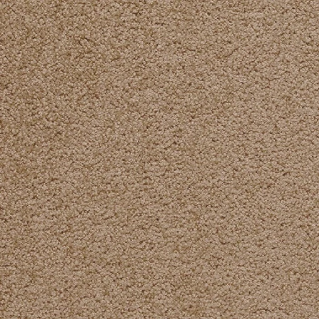 Royal Bliss Broadloom, Wall to wall carpet, broadloom carpet, office carpet, roll carpet, heavy contract carpet