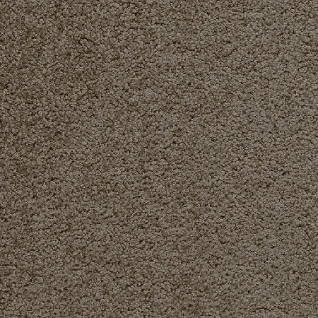 Royal Bliss Broadloom, Wall to wall carpet, broadloom carpet, office carpet, roll carpet, heavy contract carpet