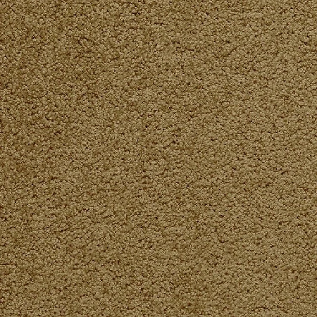 Royal Bliss Broadloom, Wall to wall carpet, broadloom carpet, office carpet, roll carpet, heavy contract carpet