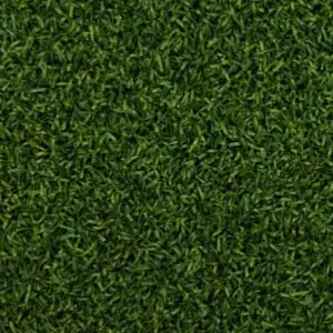 Grass carpet, office grass, gold grass, artificial grass carpet, astroturf, exhibition carpet, fake grass