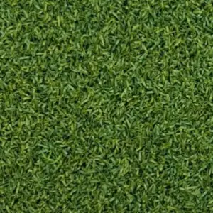 Grass carpet, office grass, gold grass, artificial grass carpet, astroturf, exhibition carpet, fake grass