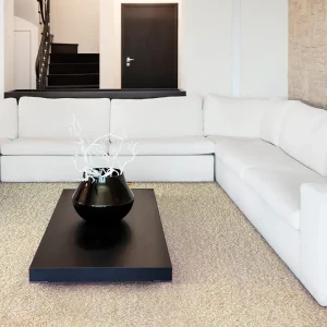Royal Satino Wall to wall broadloom carpet