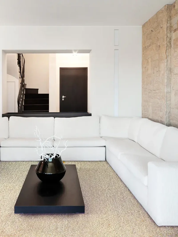Wall to wall carpet, broadloom carpet, roll carpet, office carpet, commercial carpet