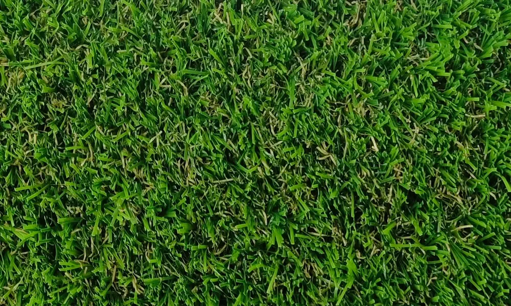 Grass carpet - Wonder 30, artificial grass, fake grass, outdoor grass, garden grass, lawn grass, event grass, exhibition grass, Astroturf, budget grass