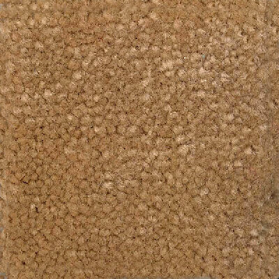 Royal Welcome, Wall to wall carpet, broadloom carpet, office carpet, roll carpet, heavy contract carpet