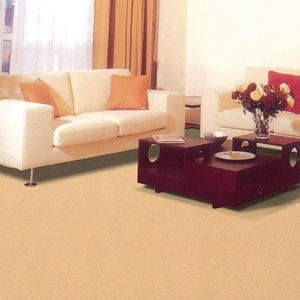 Wall to wall carpet, broadloom carpet, office carpet, roll carpet, contract carpet